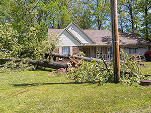 Storm Damage1